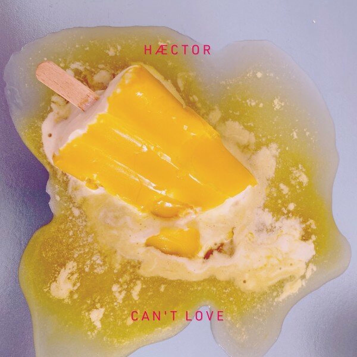 Album cover of Can't Love