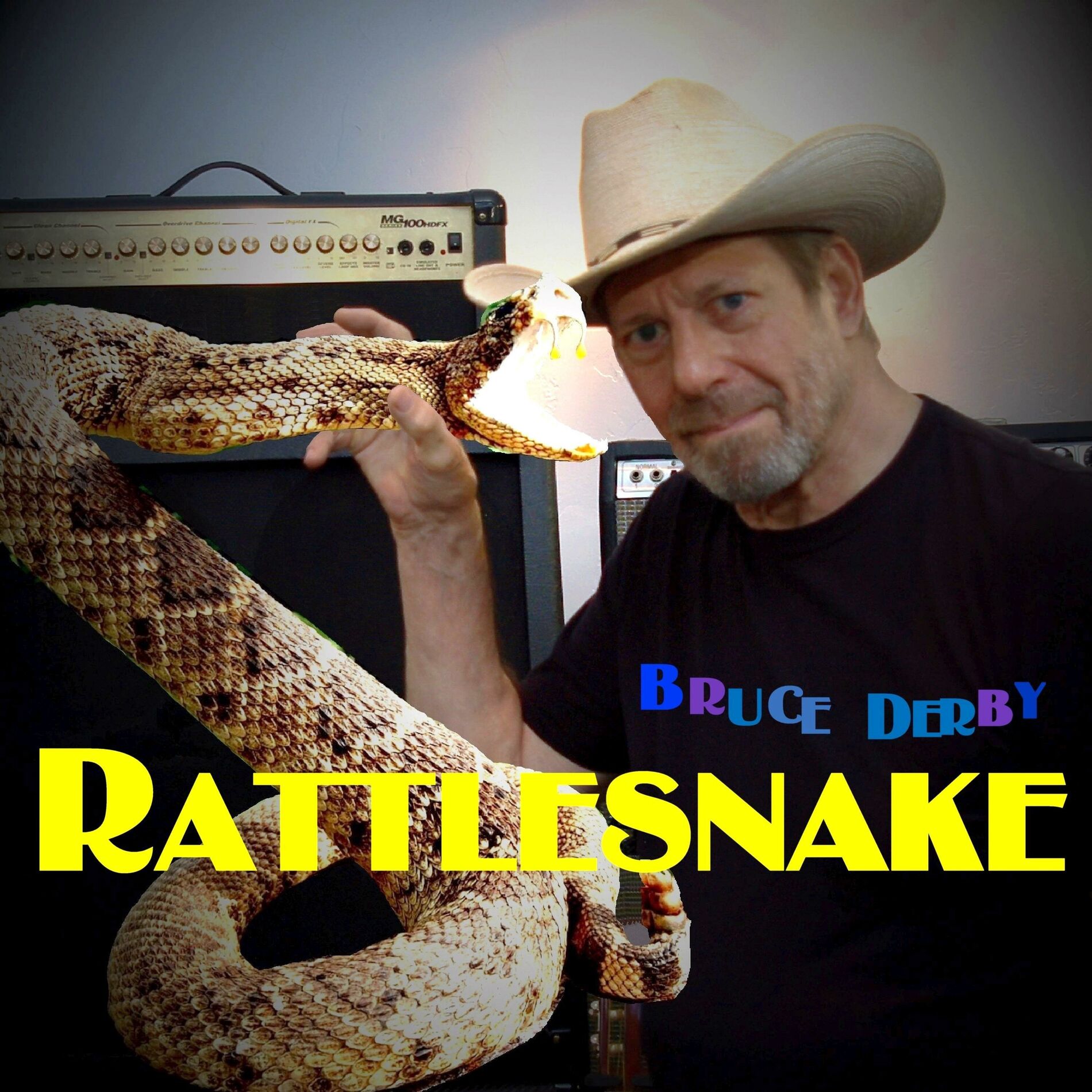Album cover of Rattlesnake
