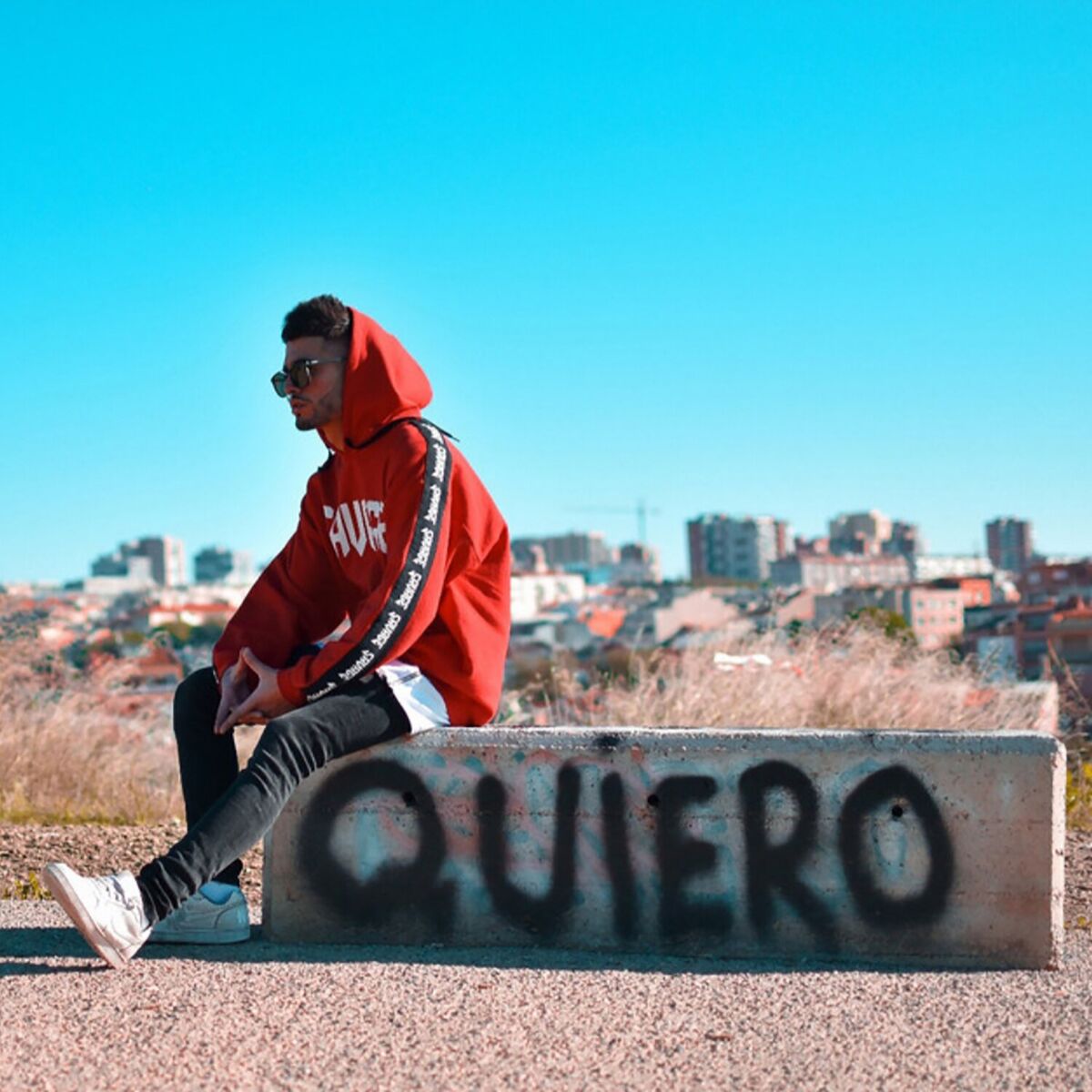 Album cover of Problemas