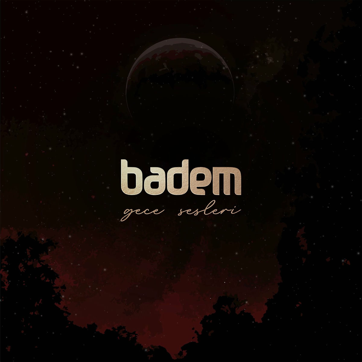 Album cover of Gece Sesleri