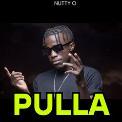 Cover of Pulla