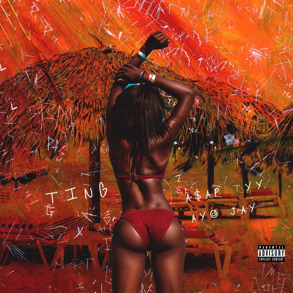 Album cover of Ting