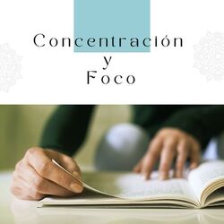 Cover of Concentración y Foco: Música Relajante para Estudiar y Trabajar