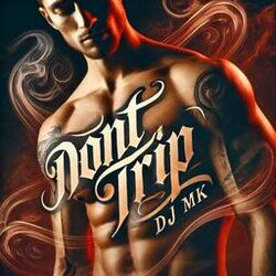 Cover of DONT TRIP