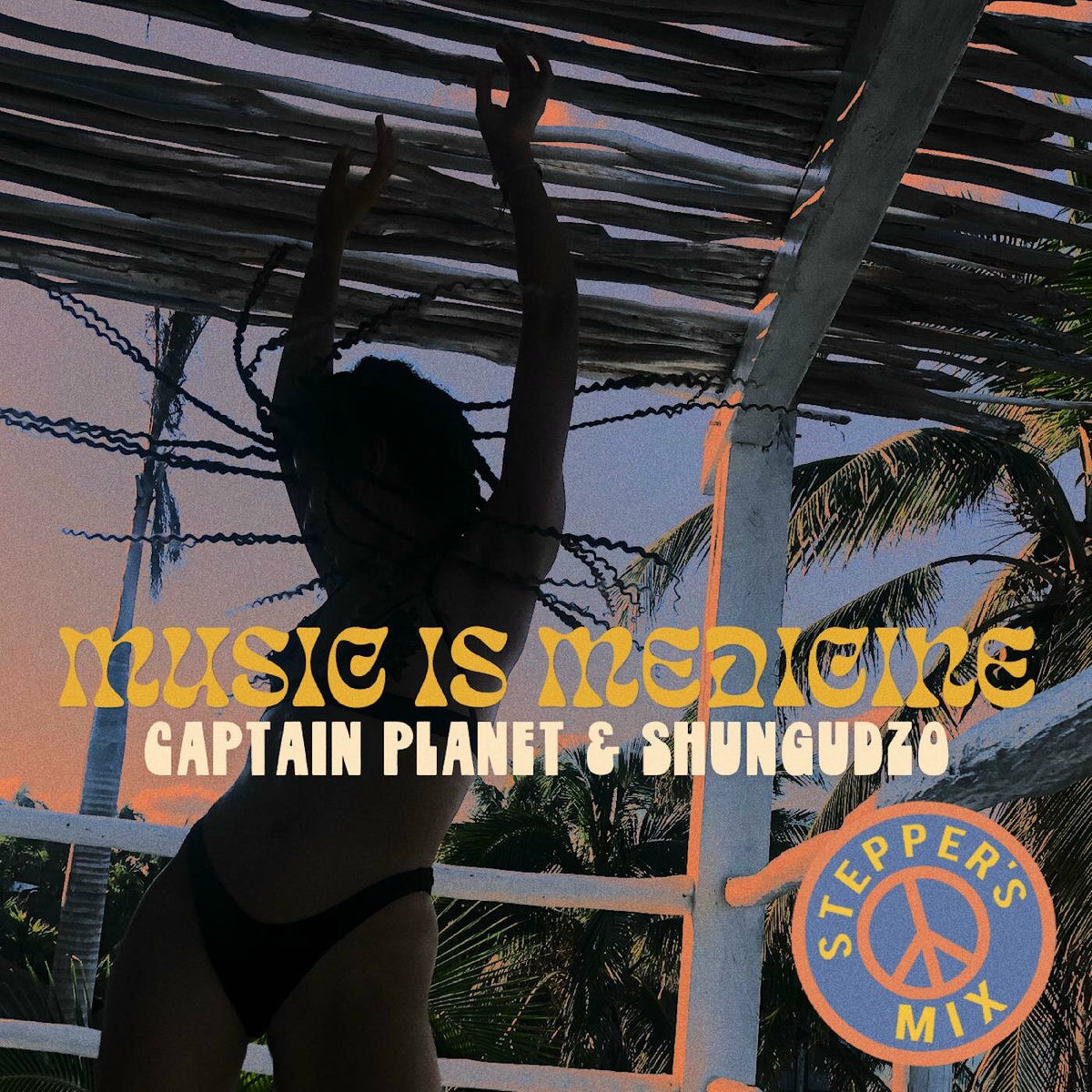 Album cover of Music is Medicine