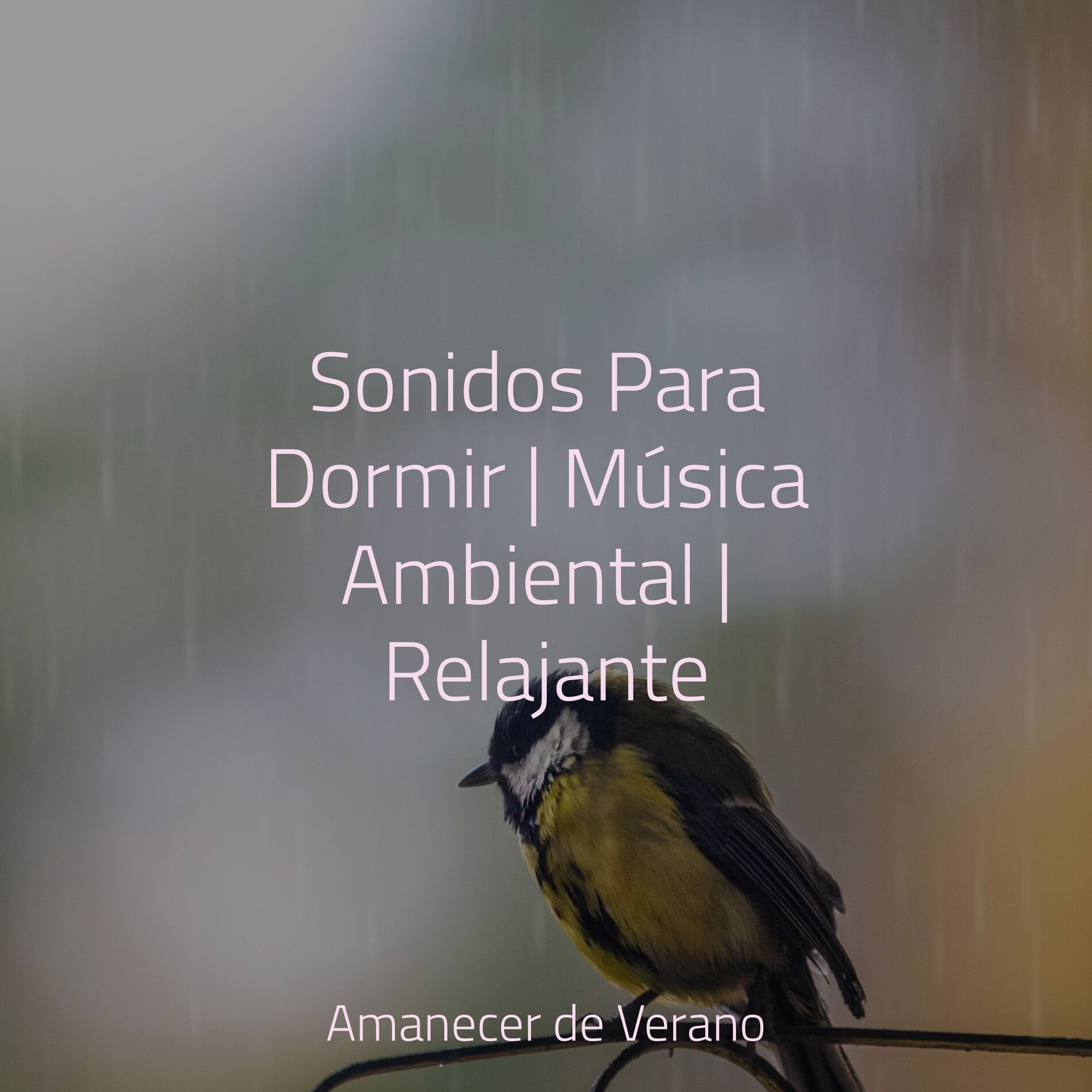 Album cover of Sinfonía Galáctica Desatada