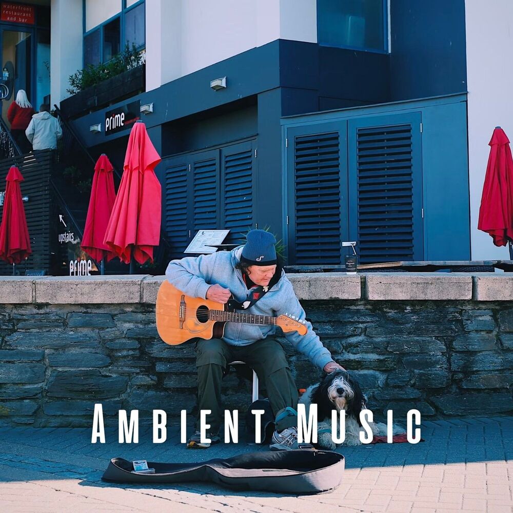Picture of Ambient Music: Pets' Healing Vibrations