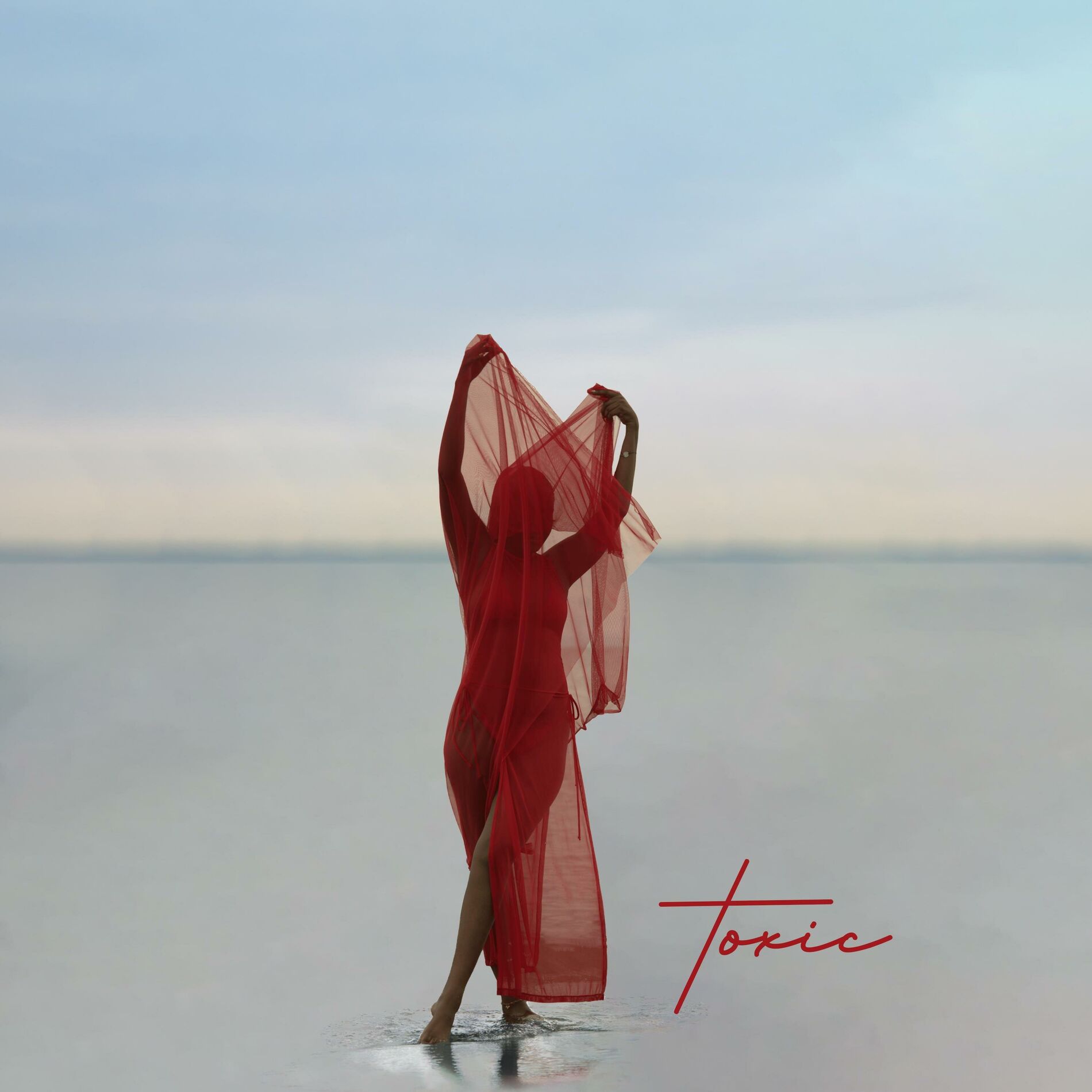 Album cover of Toxic