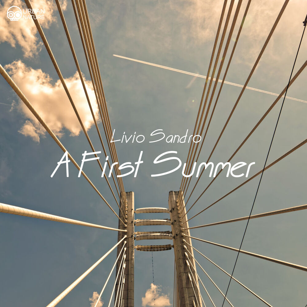 Picture of A First Summer