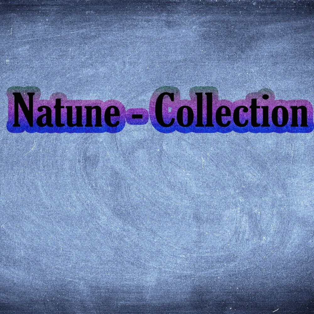 Picture of Collection