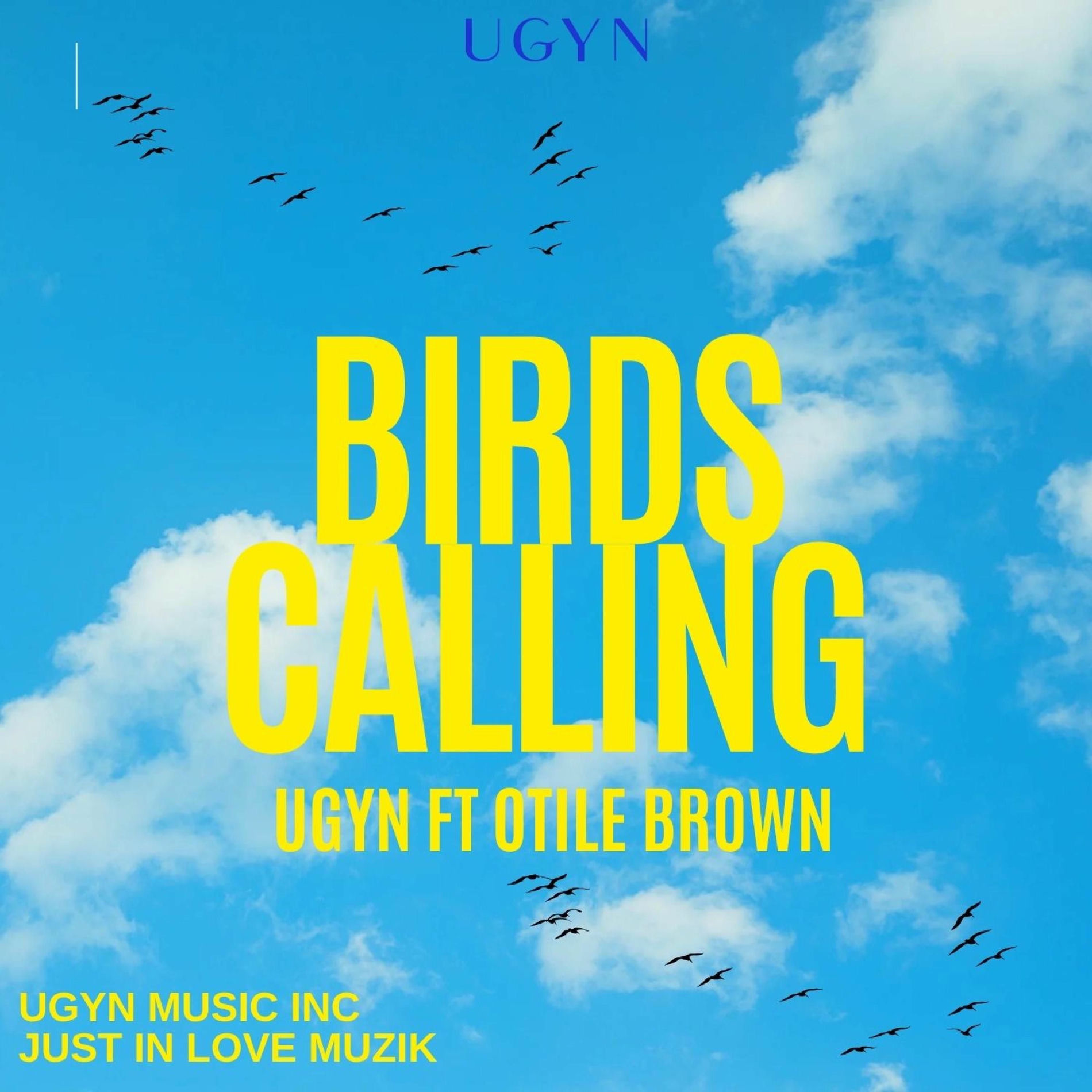 Album cover of BIRDS CALLING (feat. Otile Brown)