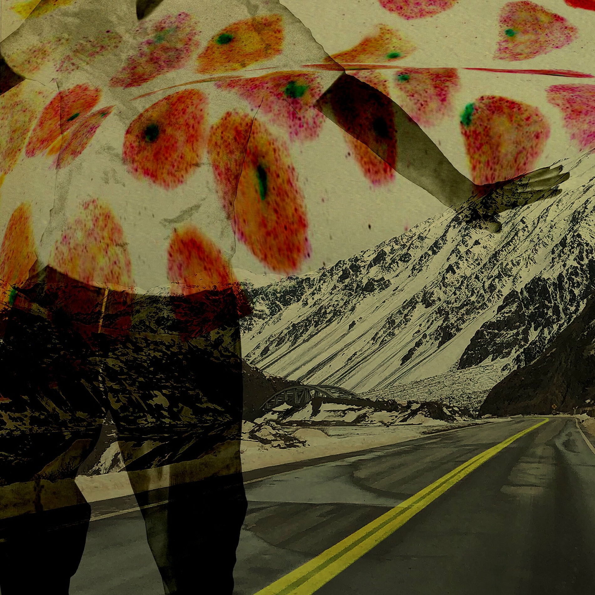 Album cover of Zutzuite