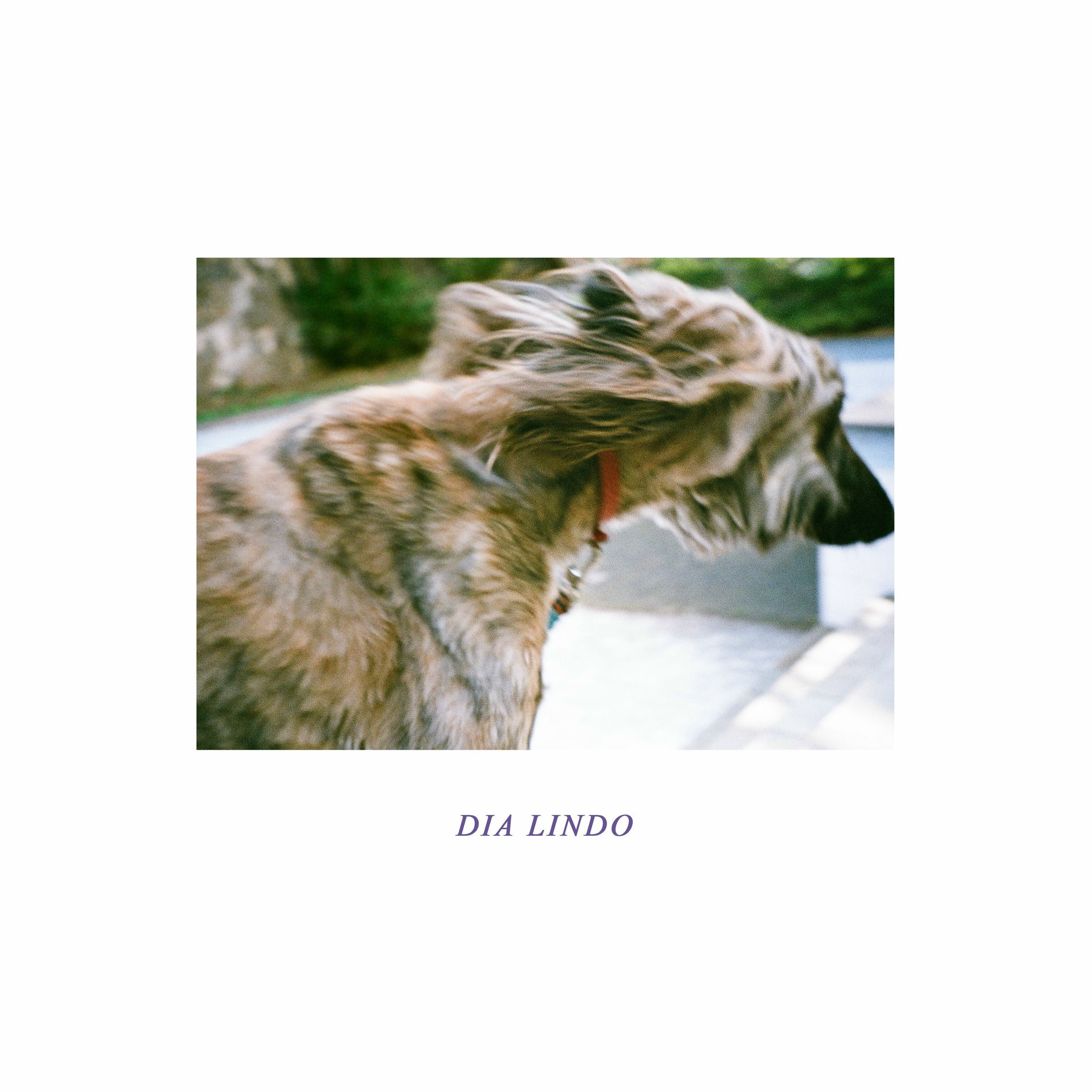 Album cover of Dia Lindo