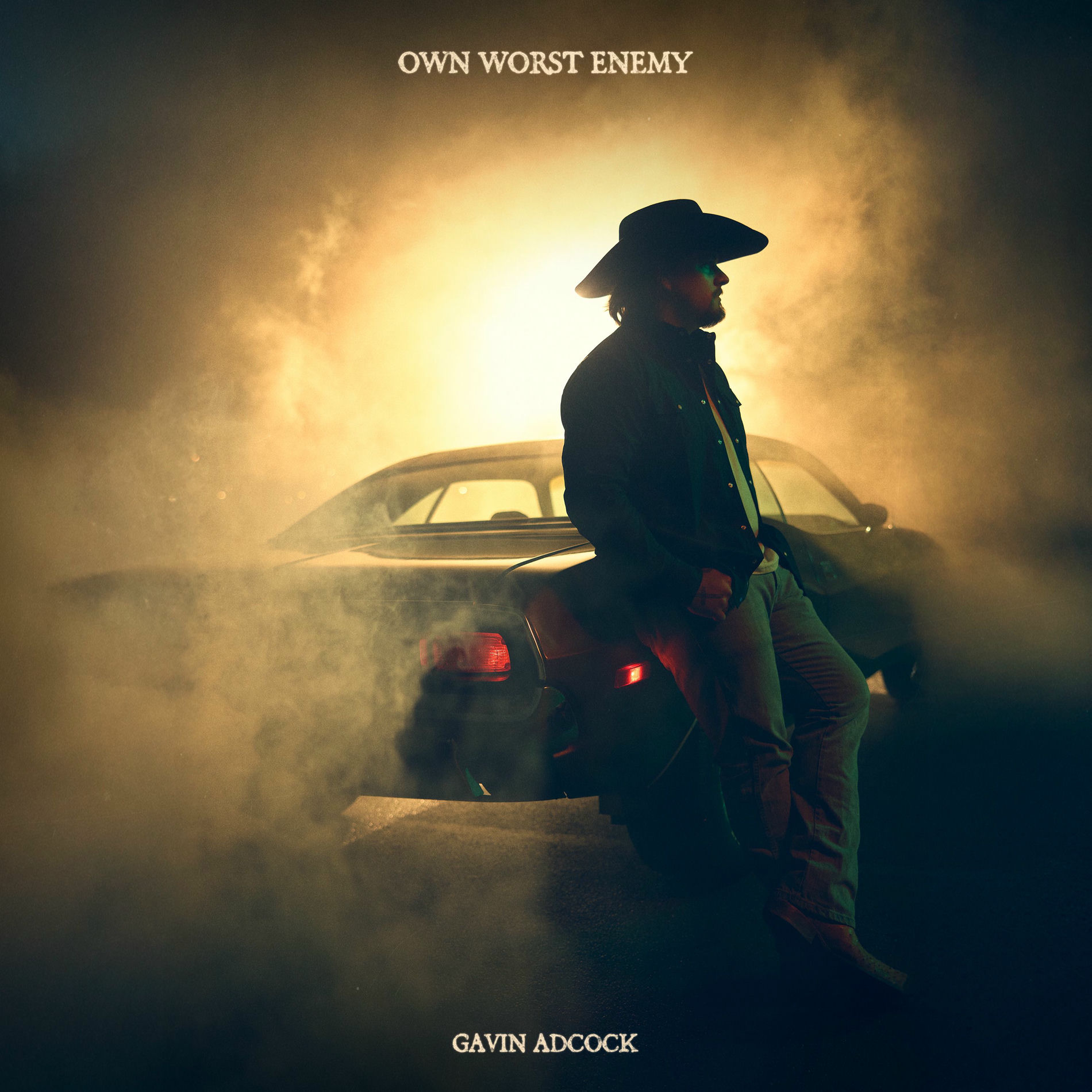 Album cover of Own Worst Enemy