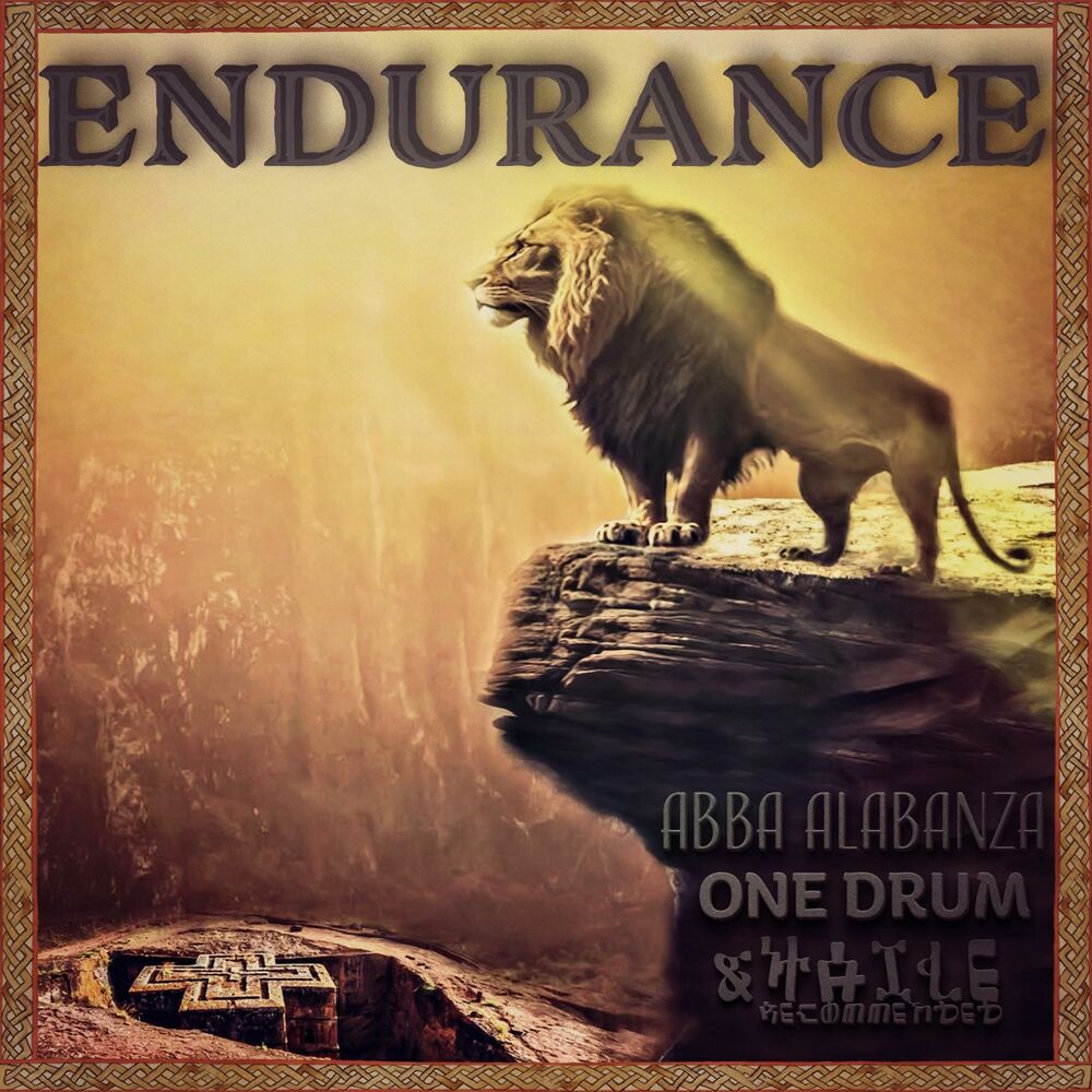 Picture of Endurance