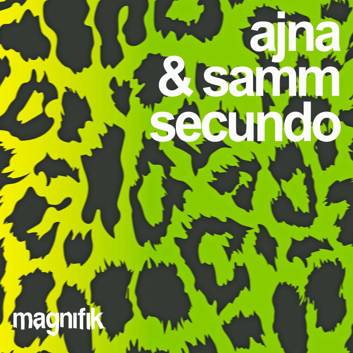 Album cover of Secundo
