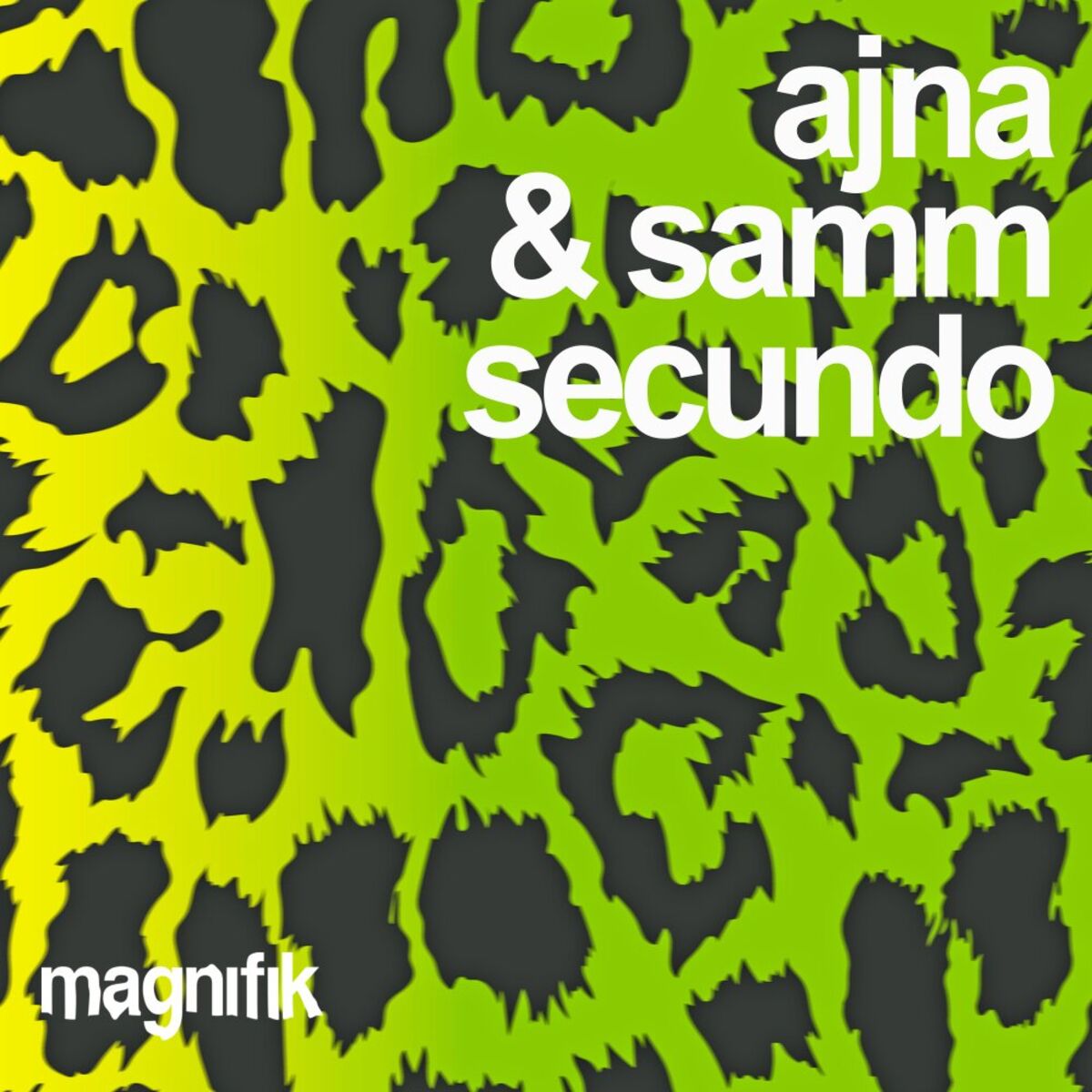 Album cover of Secundo