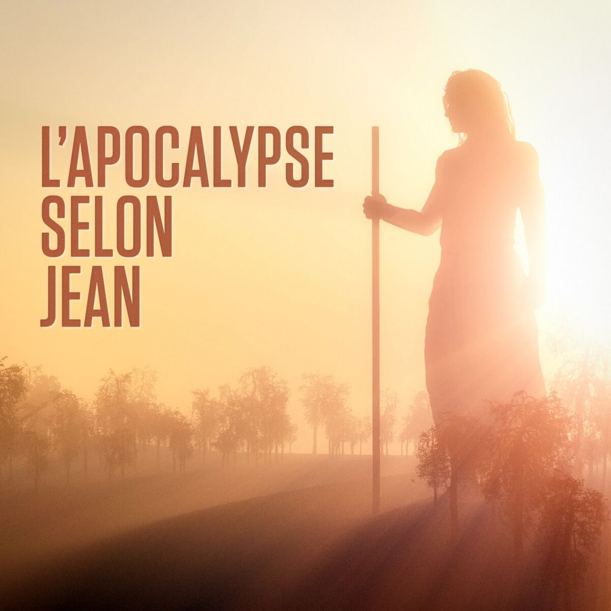 Album cover of Chapitre 6: L'ouverture des six premiers sceaux