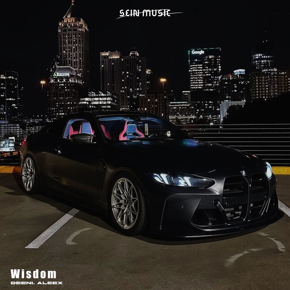 Wisdom artwork