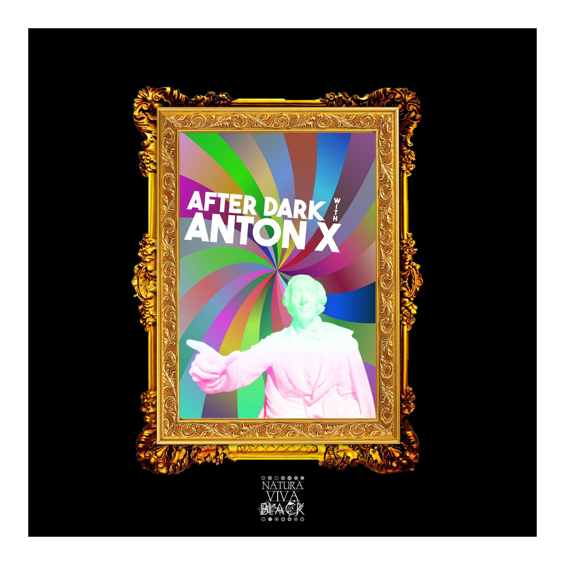 Album cover of After Dark (Selected and Mixed by Anton X)