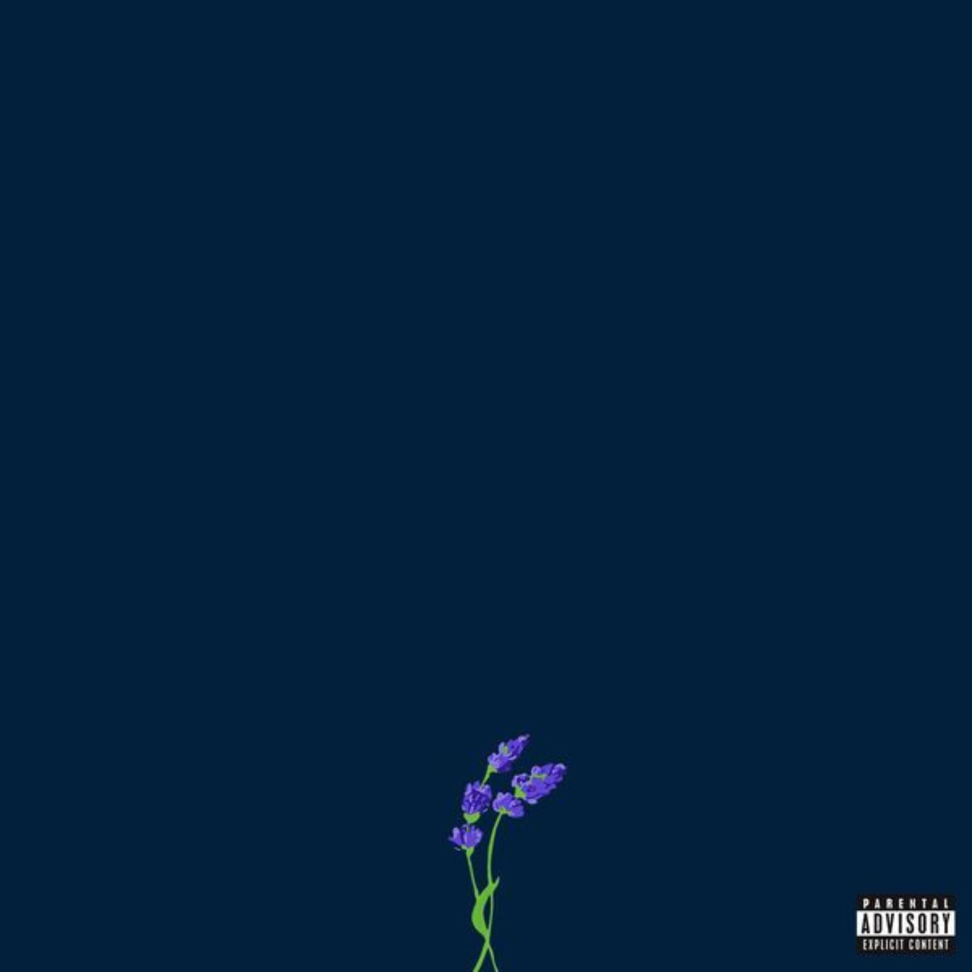 Album cover of People Need Love