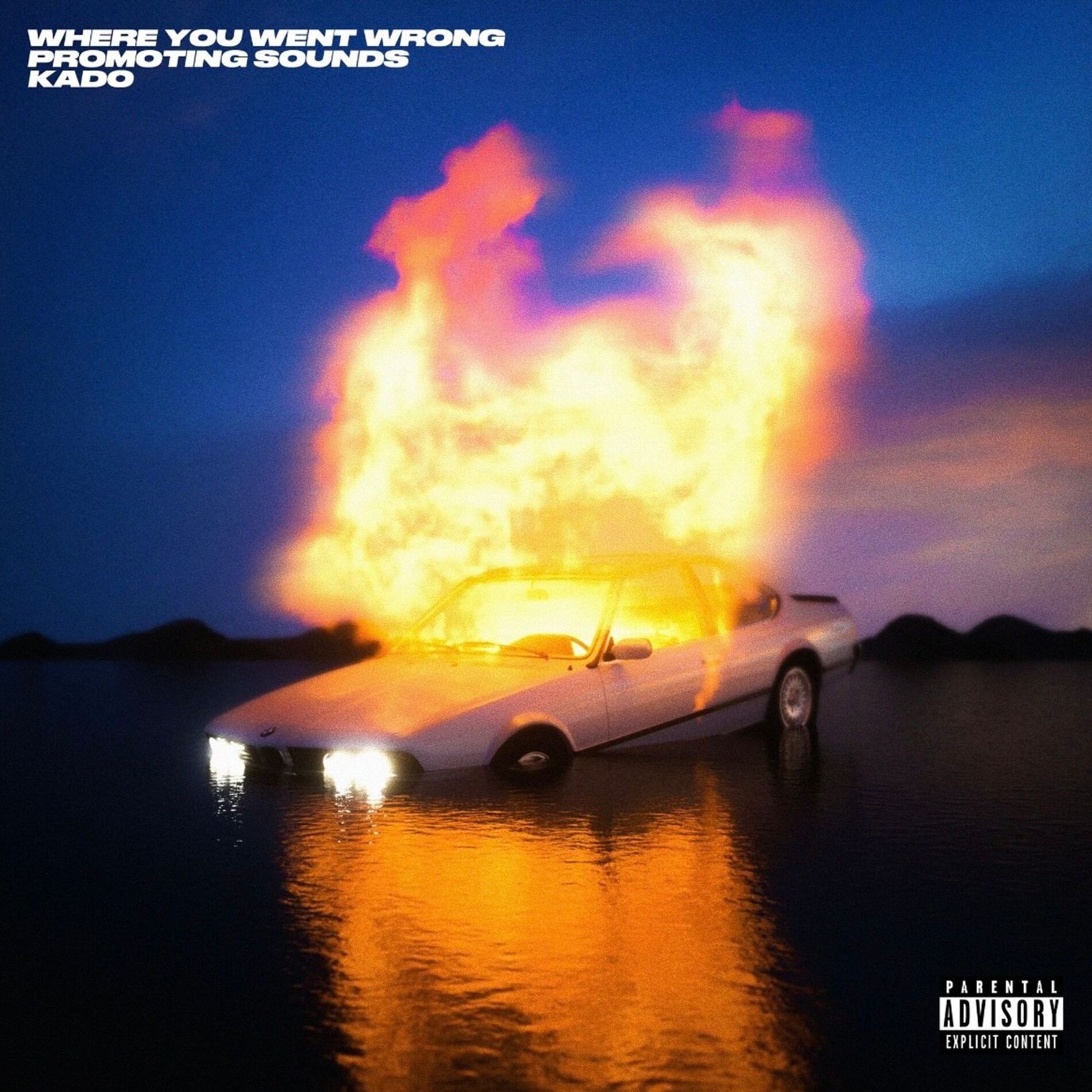 Album cover of Where You Went Wrong