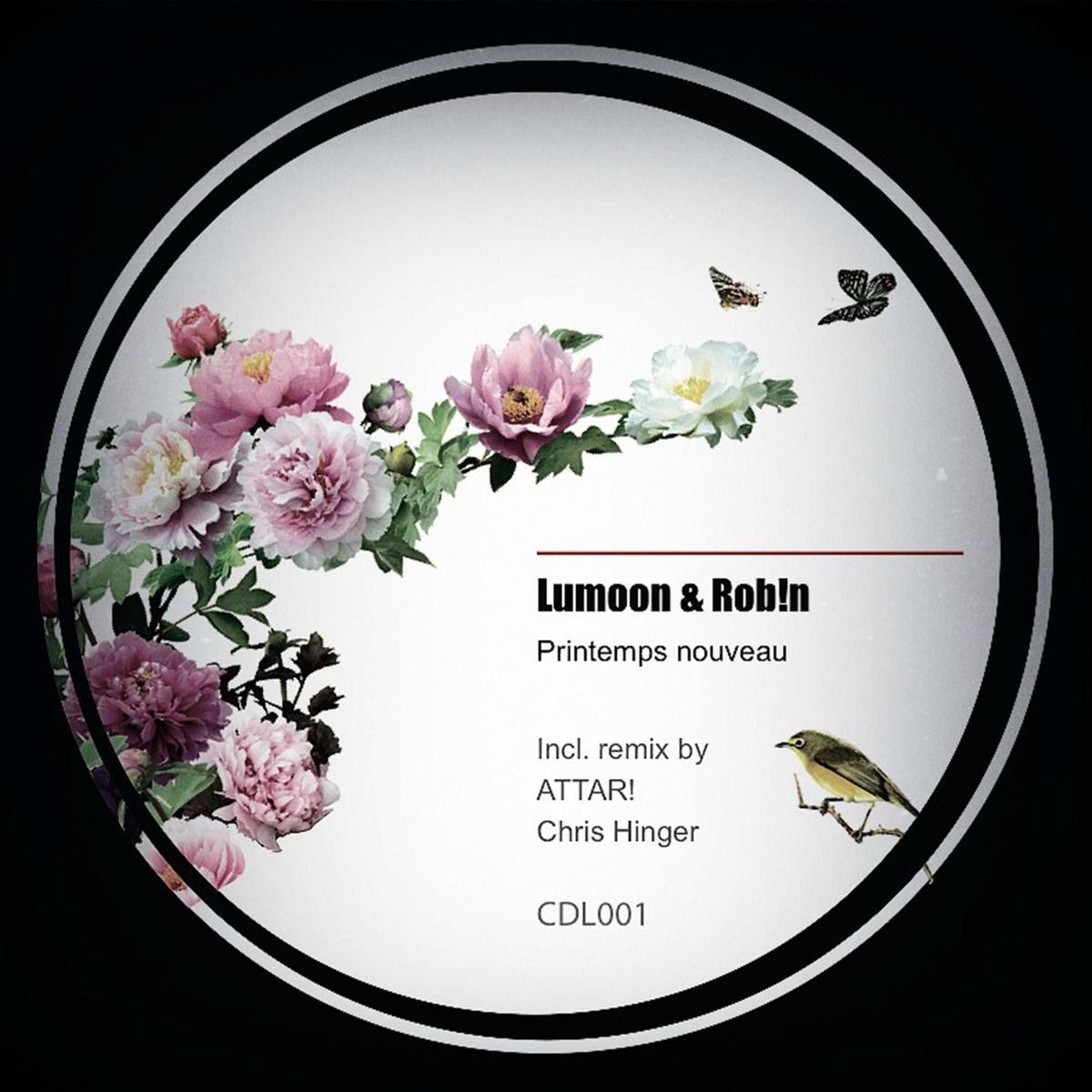 Album cover of Printemps Nouveau