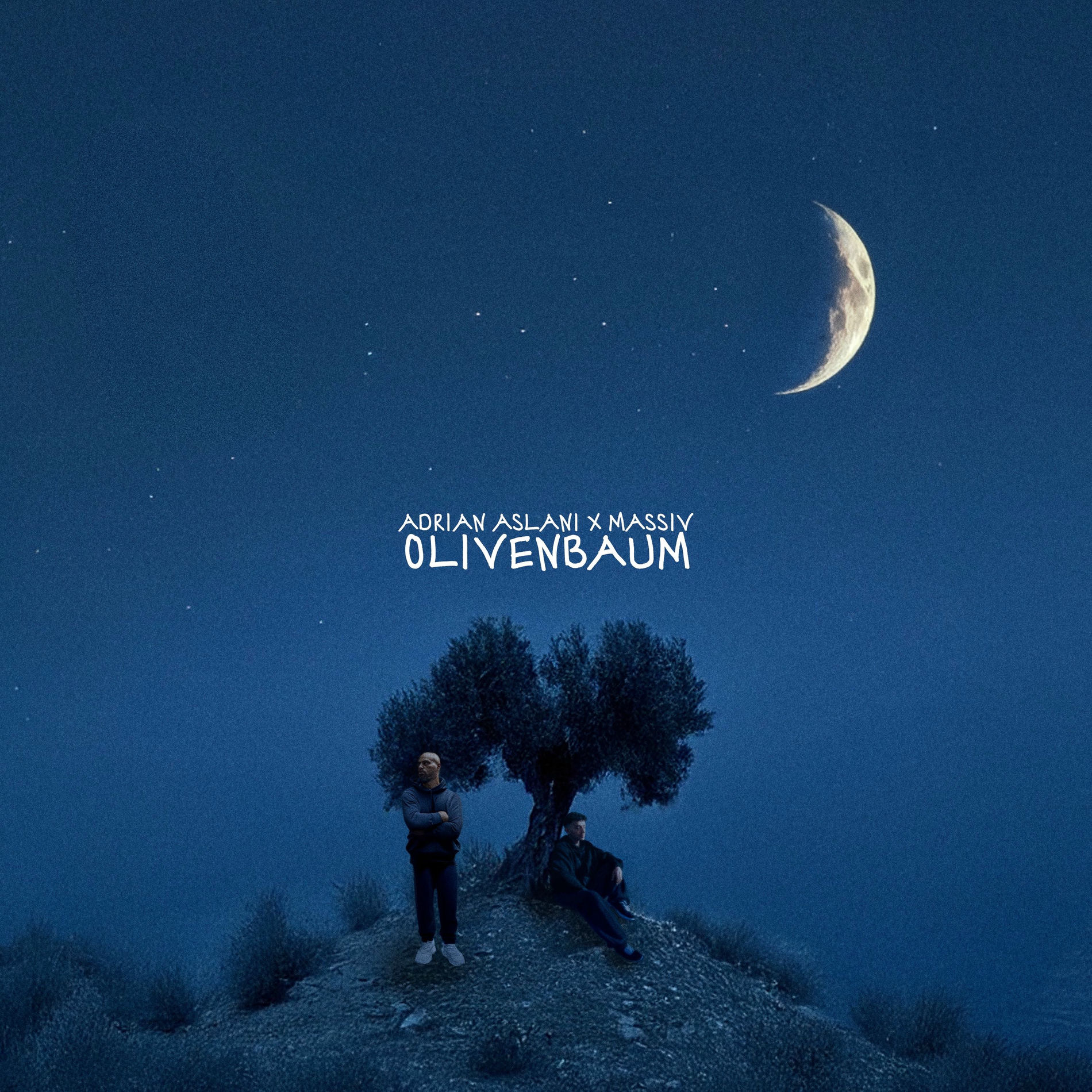 Album cover of Olivenbaum X Massiv