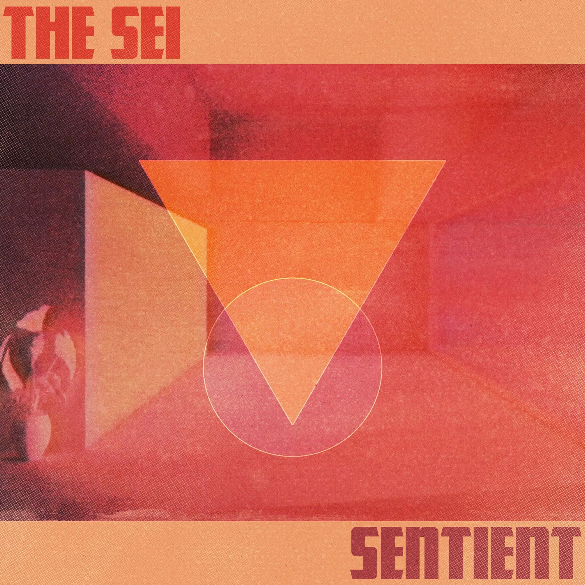 Album cover of Sentient
