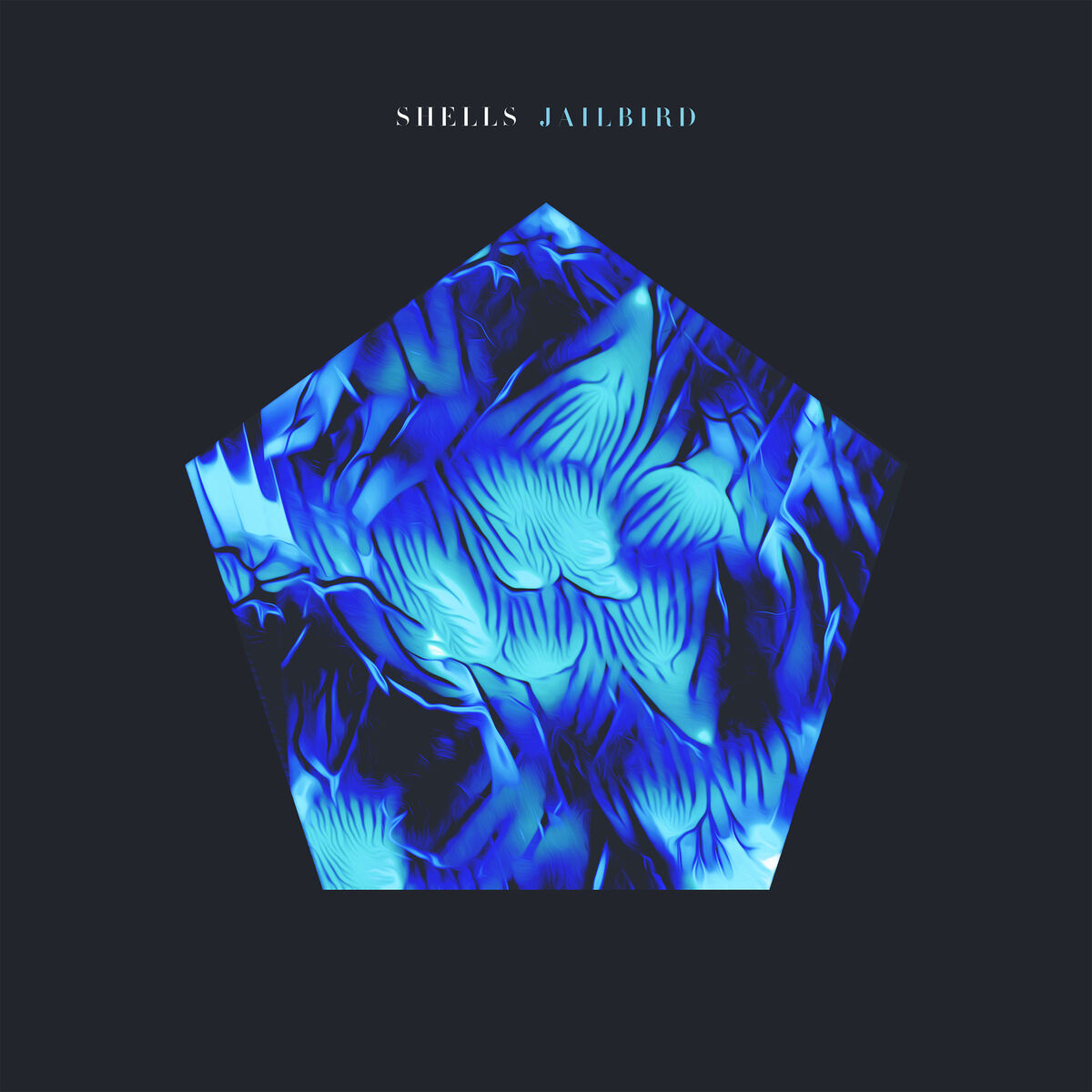 Album cover of Jailbird