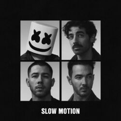 Cover of Slow Motion