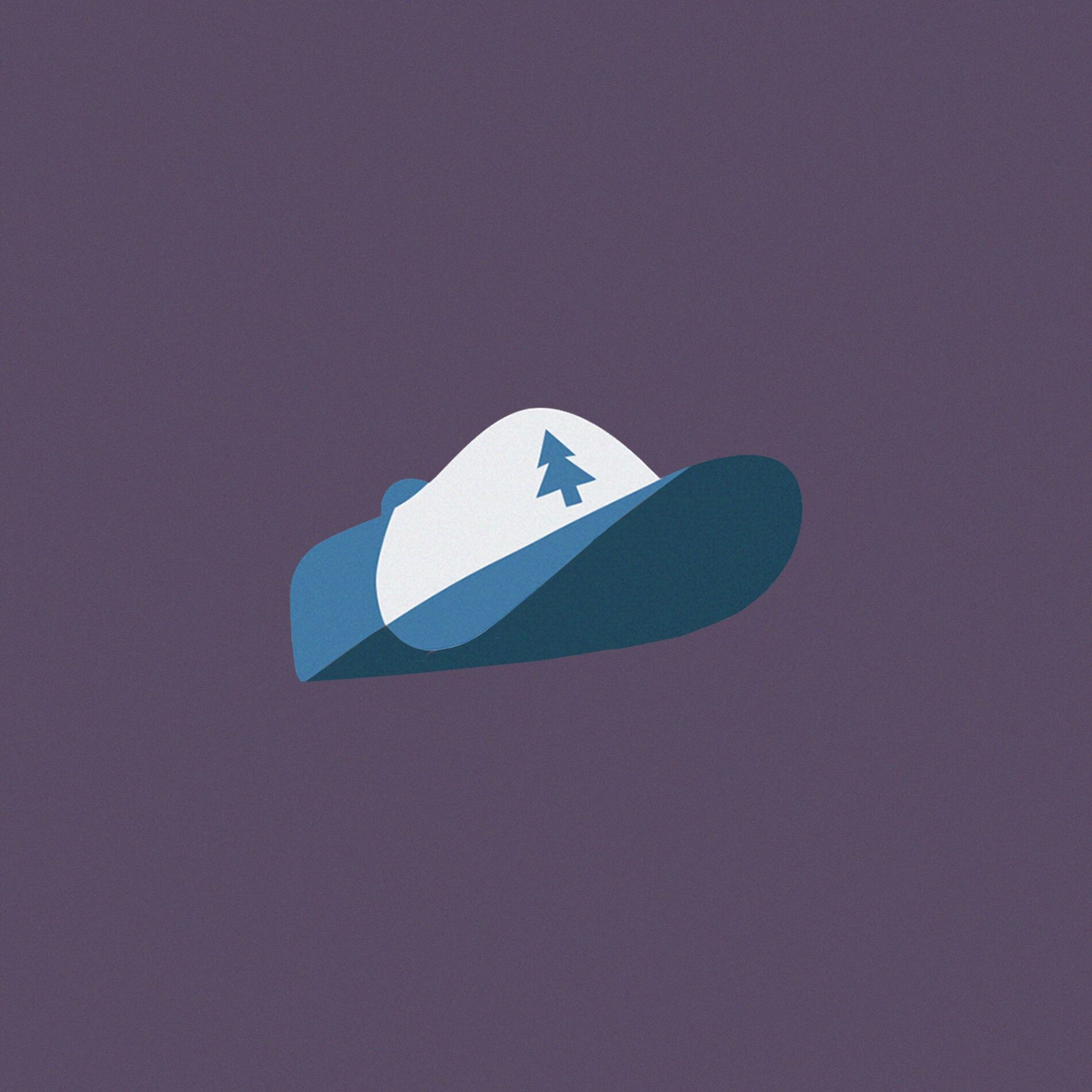 Album cover of Gravity Falls