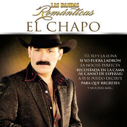 Cover of Las Bandas Románticas