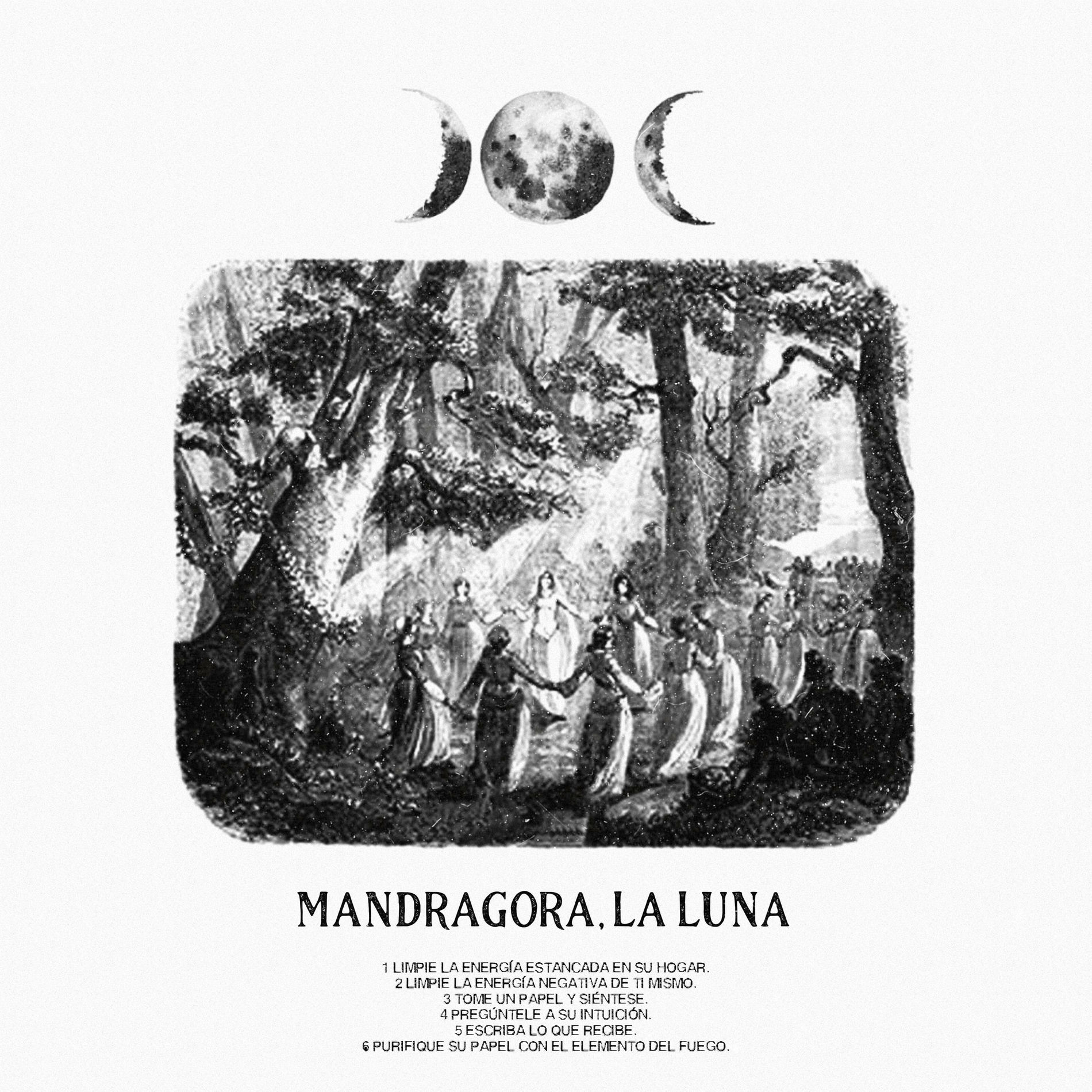 Album cover of La Luna