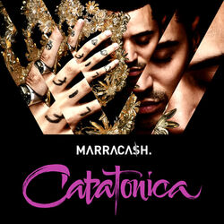 Cover of Catatonica