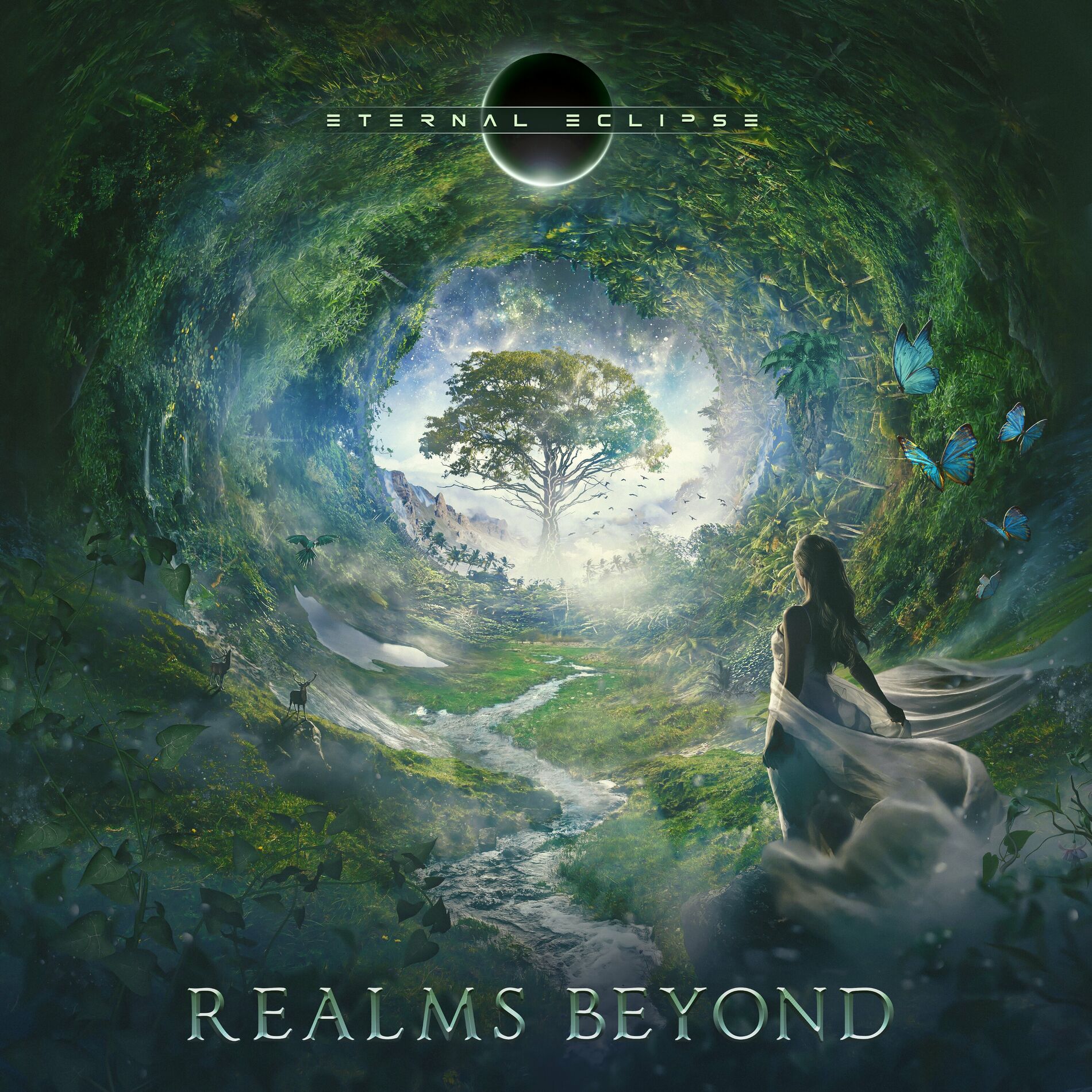 Album cover of Realms Beyond