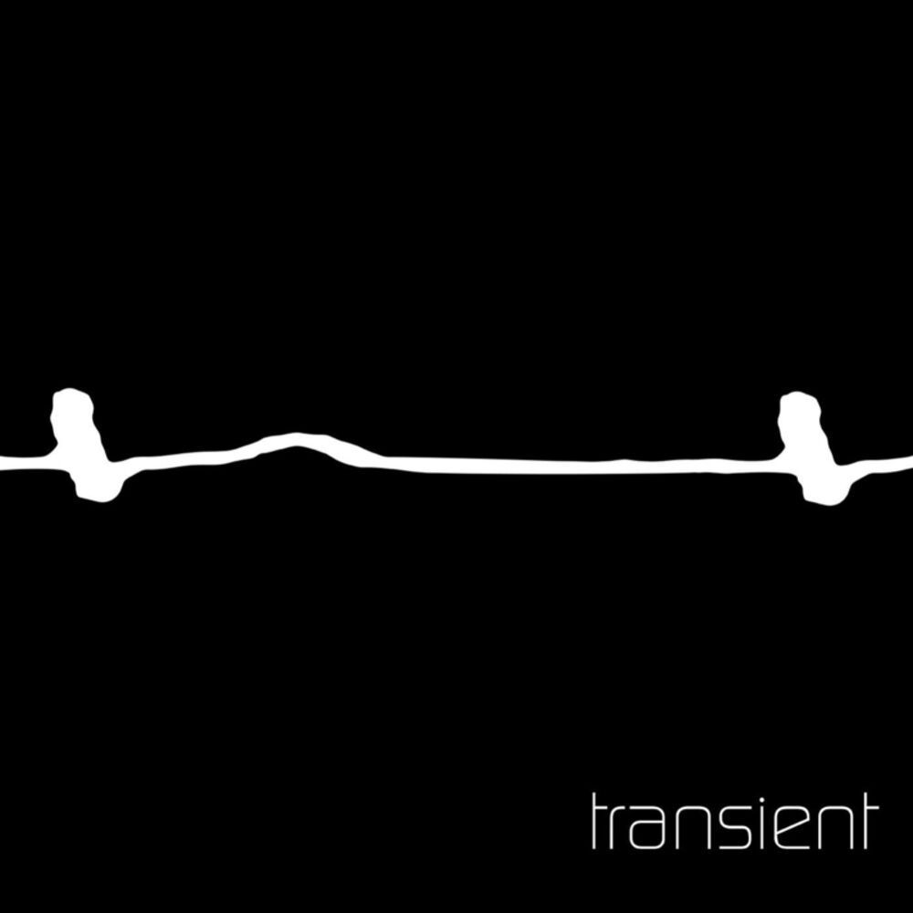 Picture of Transient