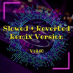 Slowed + Reverbed Remix Version, Vol. 10