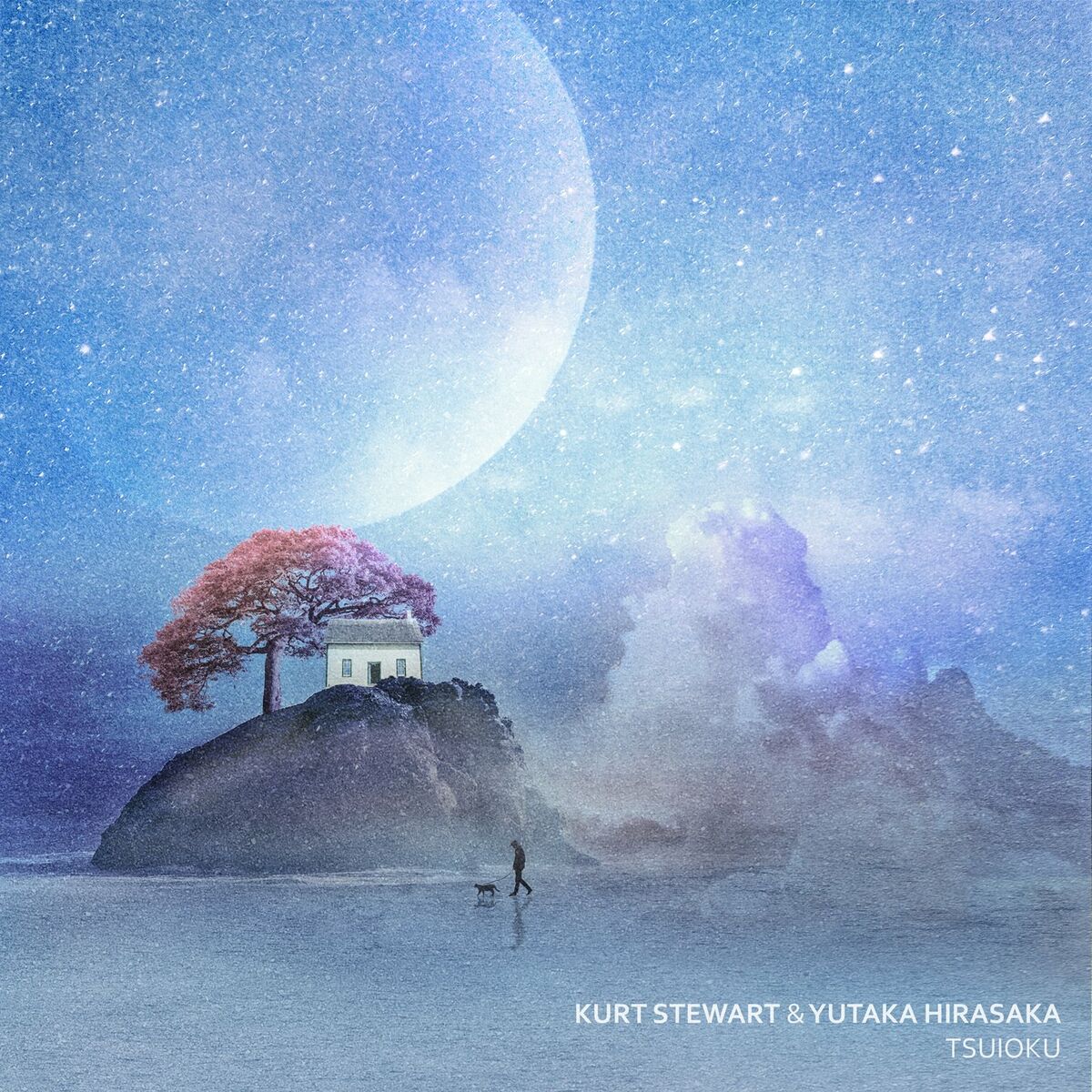 Album cover of Tsuioku