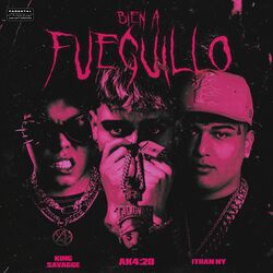 Cover of BIEN A FUEGUILLO