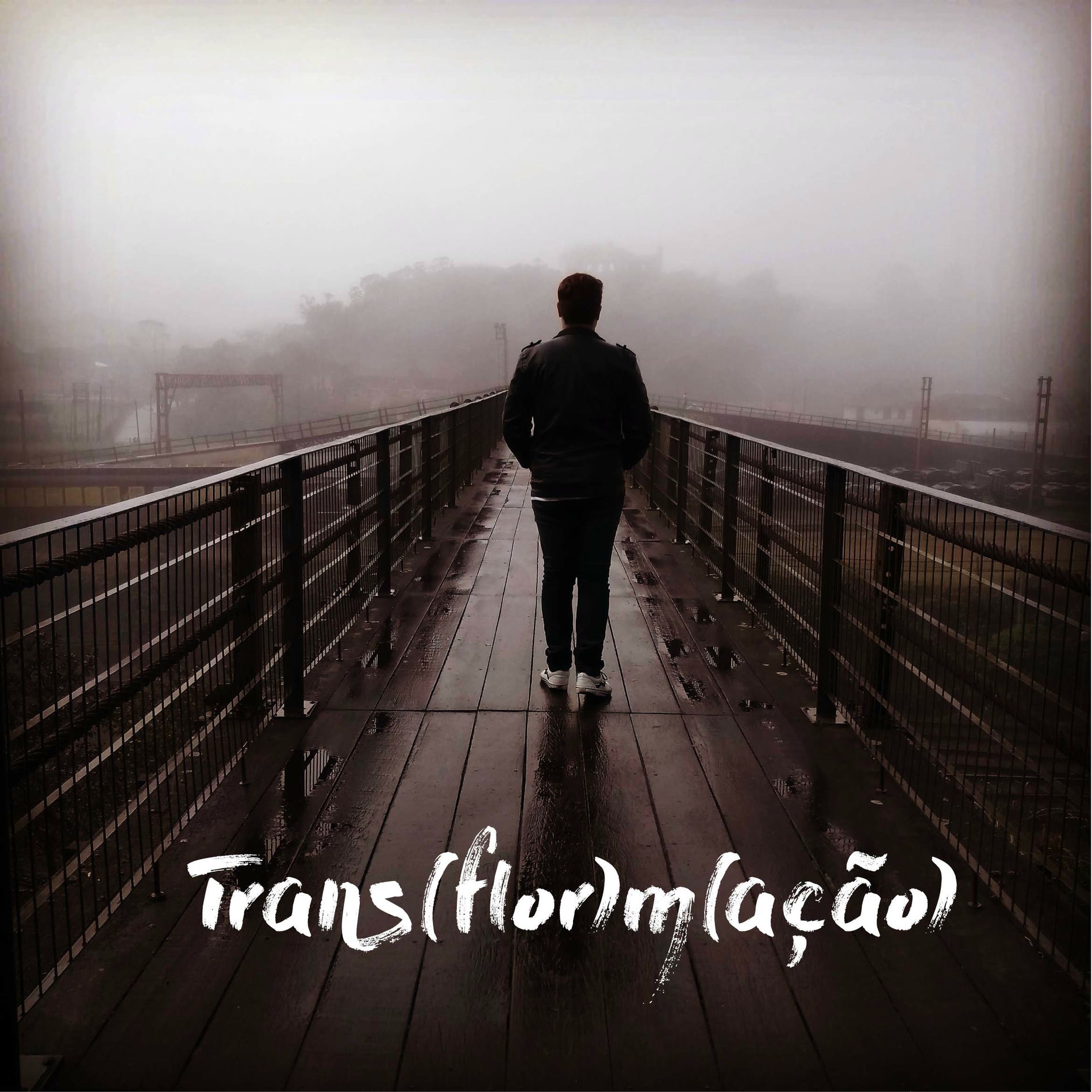 Album cover of Transflormação