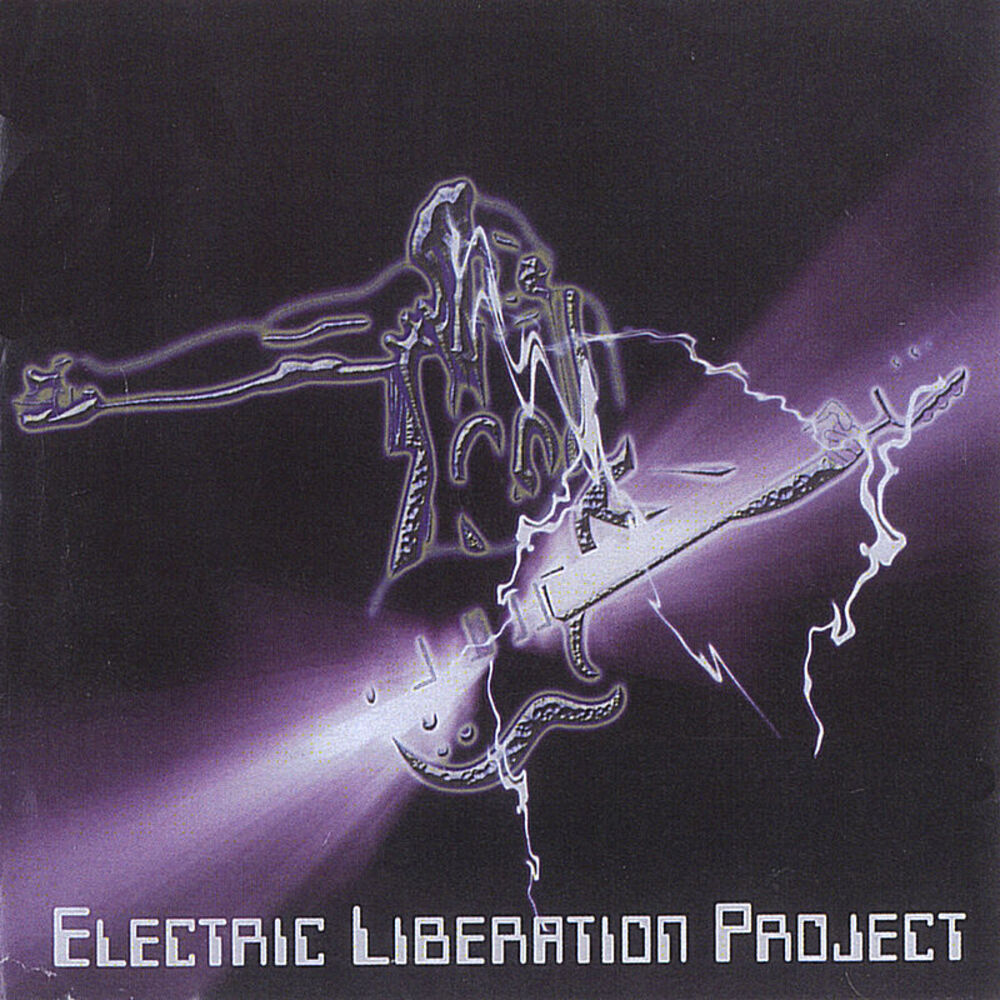 Picture of The Electric Liberation Project