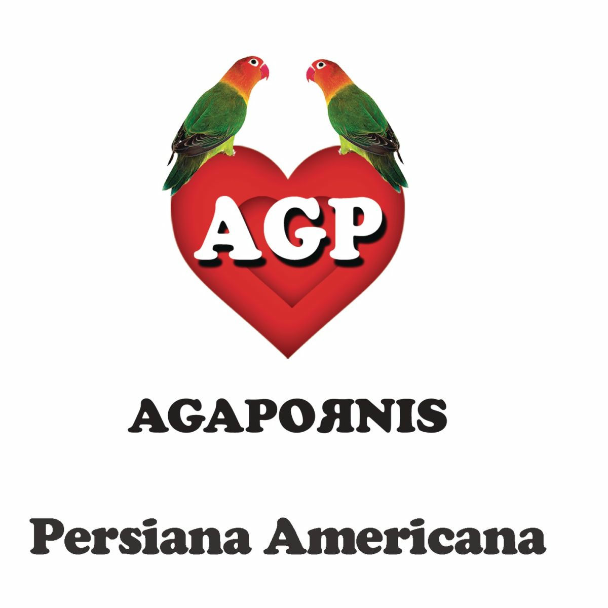 Album cover of Persiana Americana