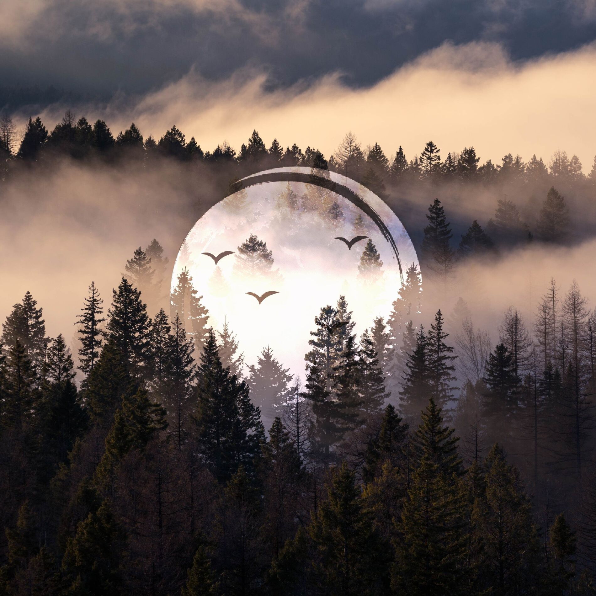 Album cover of Echoes in the Valley, Vol. 9