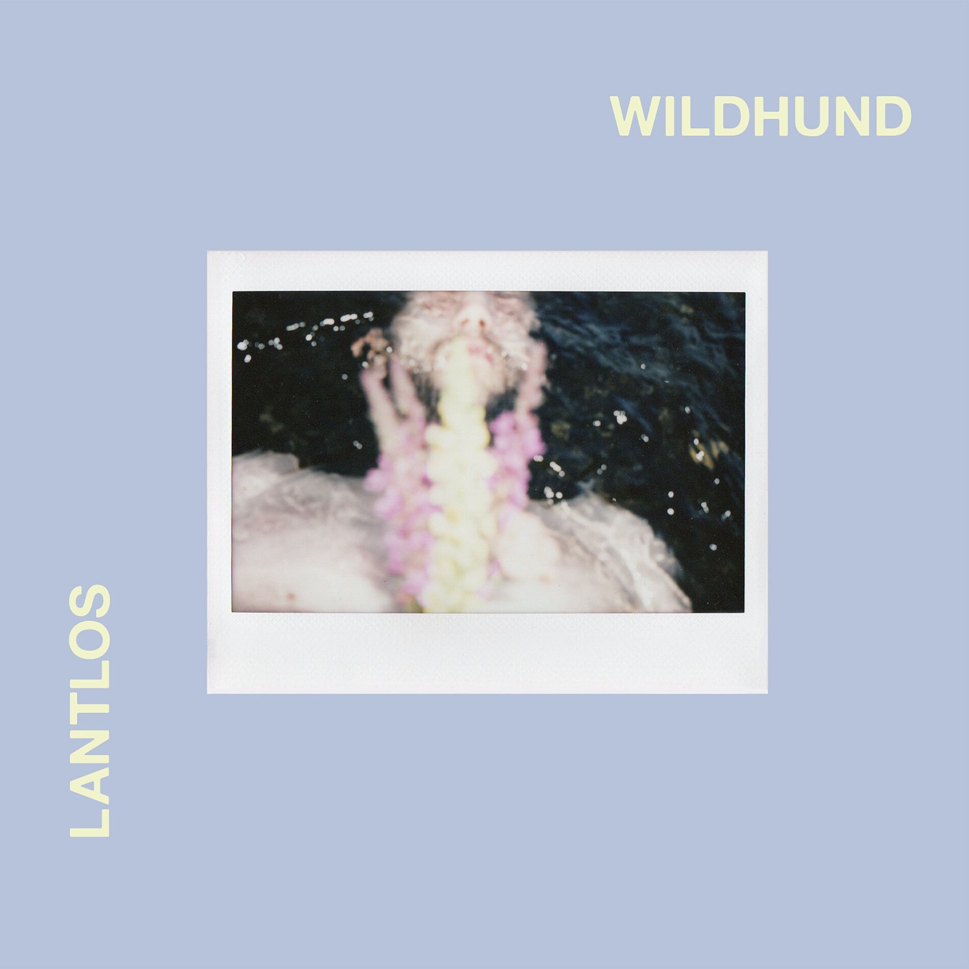Album cover of Wildhund