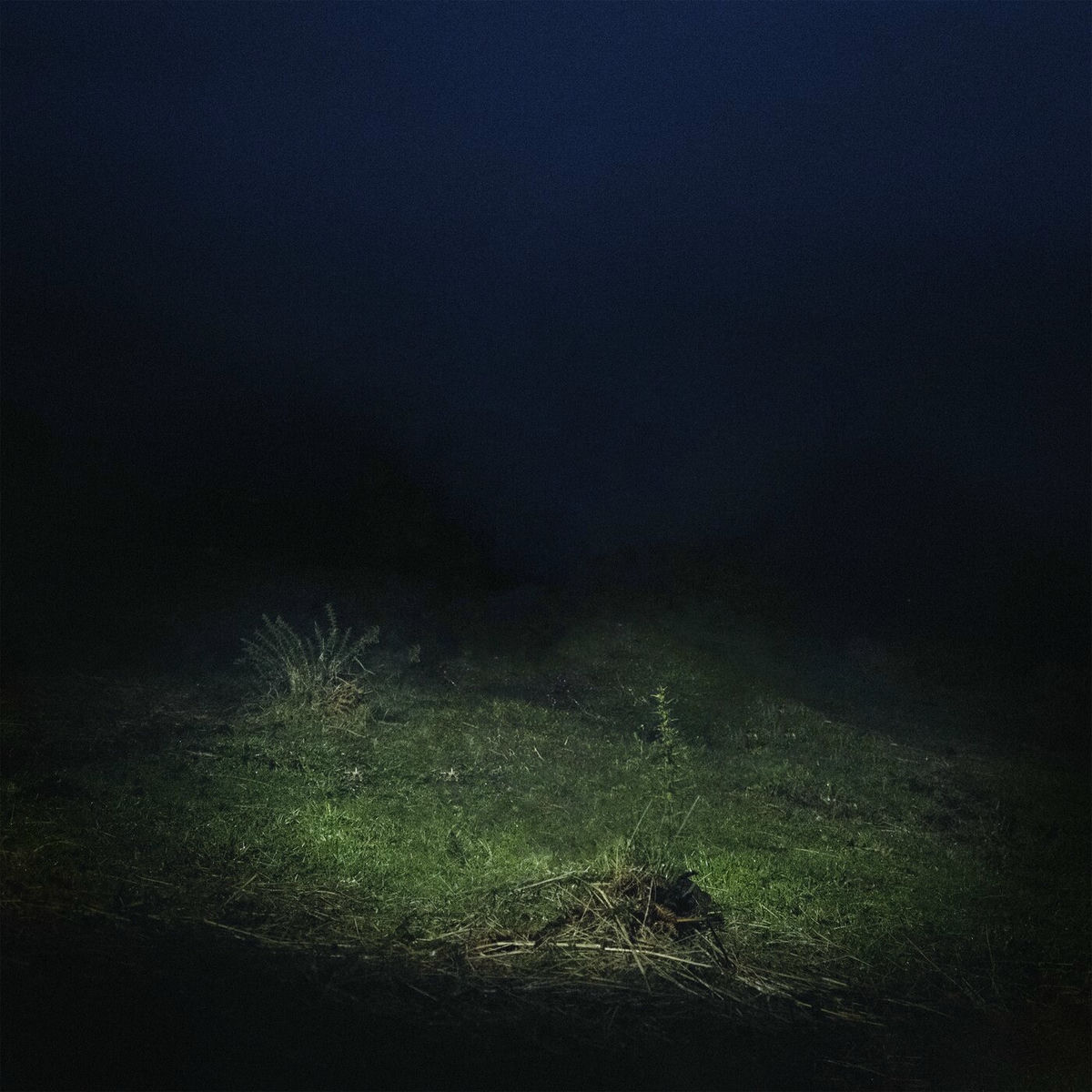 Album picture of PO2054AZ (Vol.II)