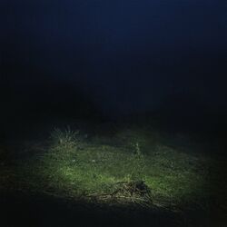 Cover of PO2054AZ (Vol.II)