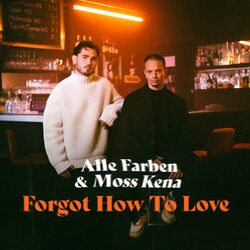 Cover of Forgot How to Love