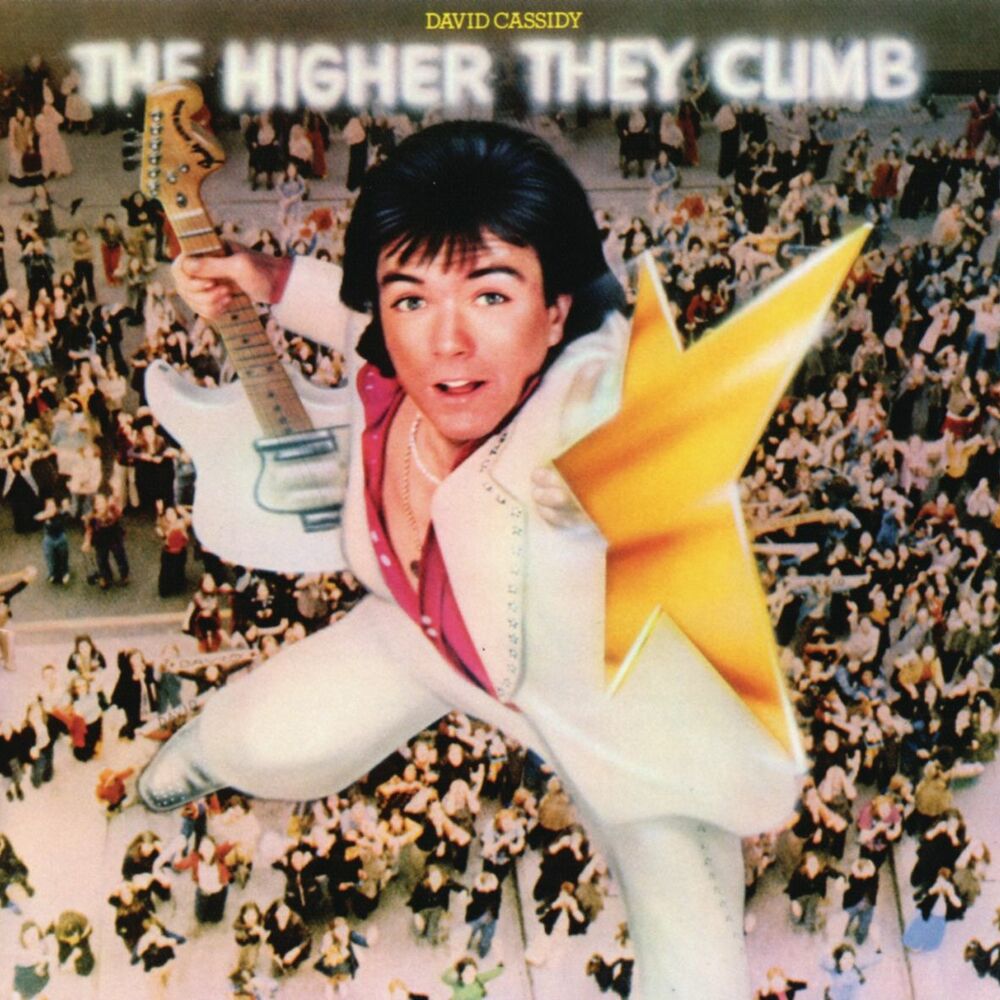 Picture of The Higher They Climb The Harder They Fall