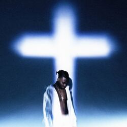 Cover of FAST LIFE